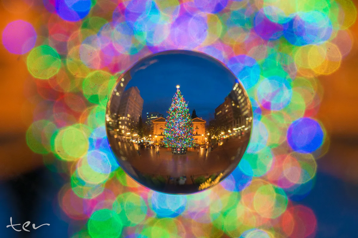 CrystalBall_TER1270 (1).jpg