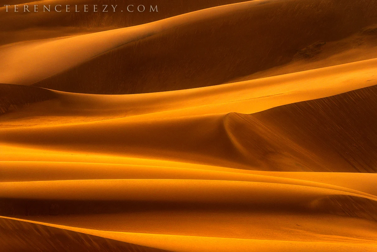 Sanddunes_TER0117xxx.jpg