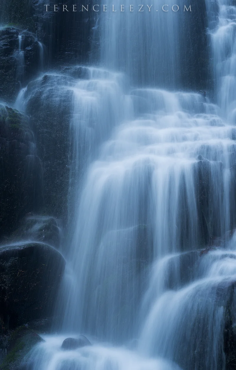 Oregon_TER5690.jpg