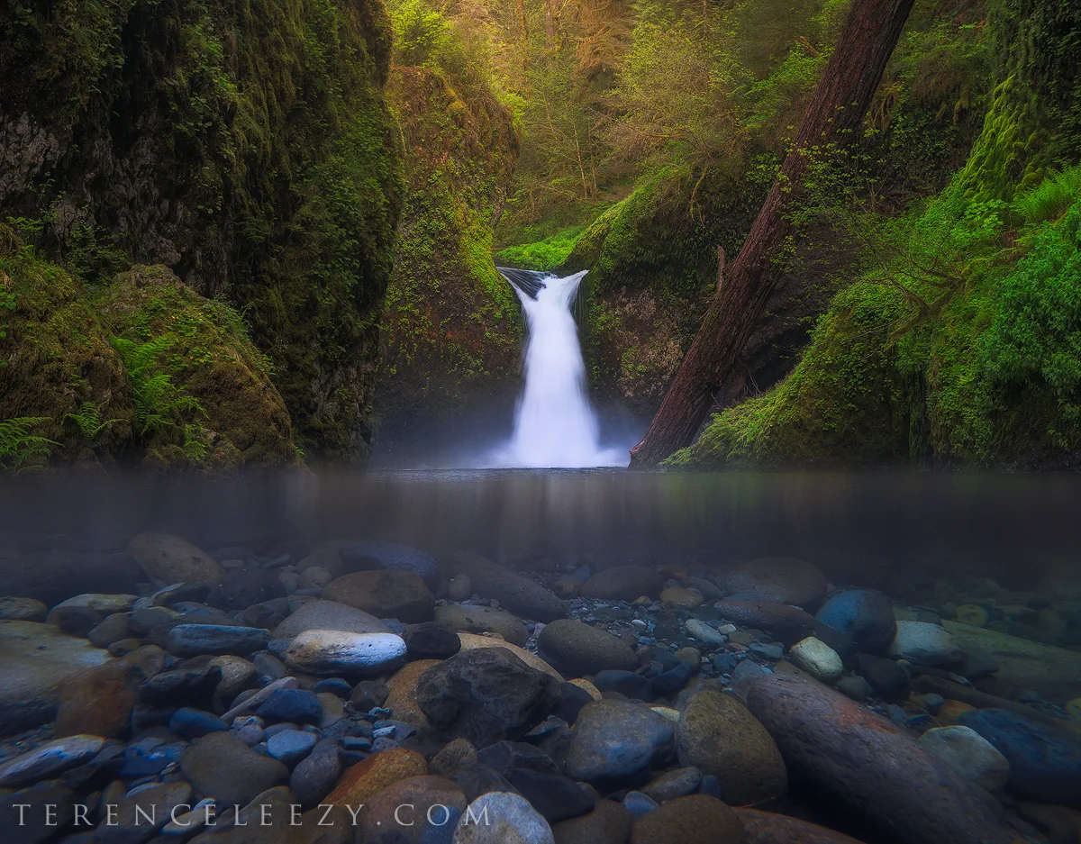 Punchbowl_TER6546finalxxxxx (1).jpg