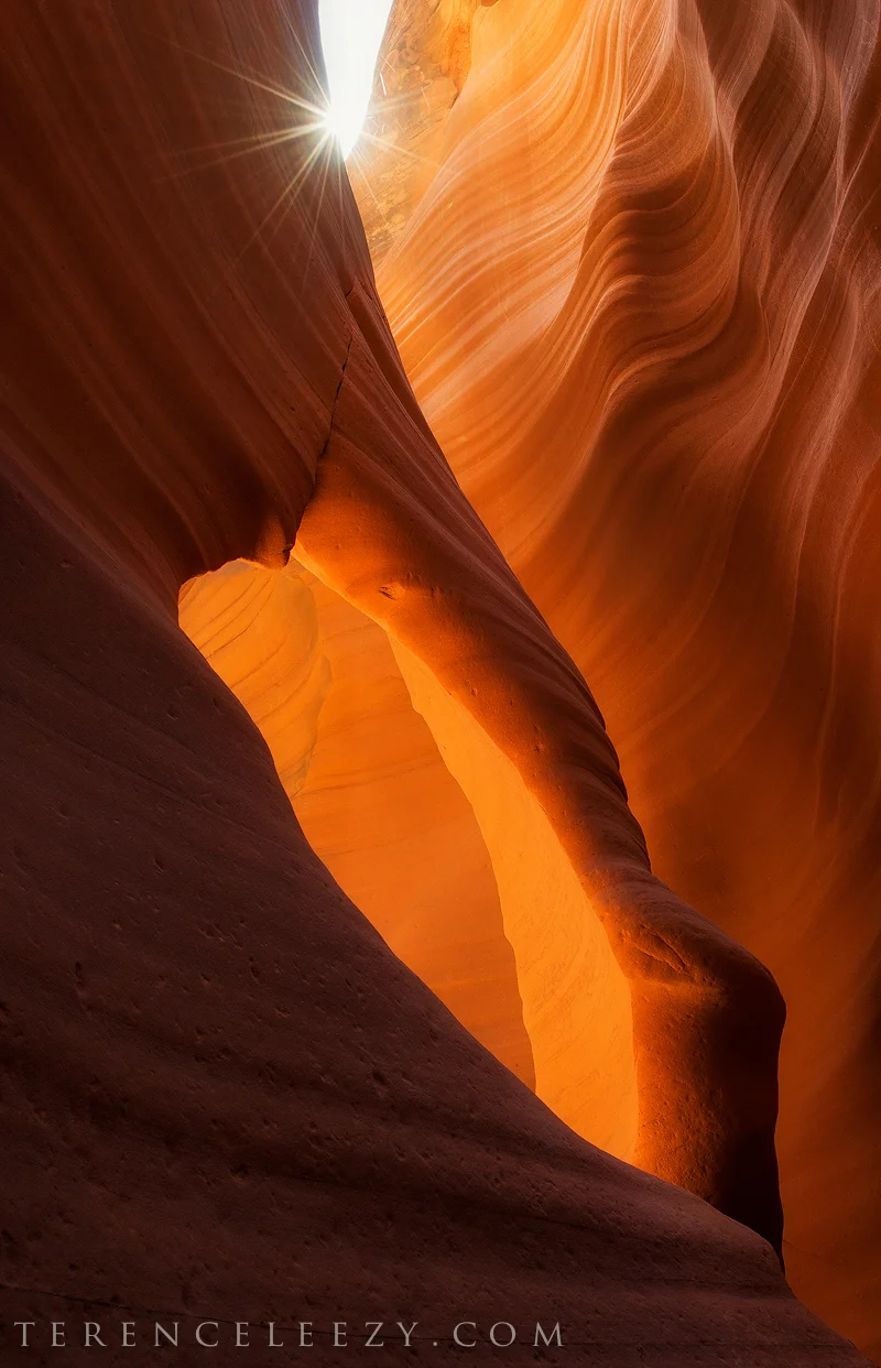 Arch_Canyon_TER6446.jpg