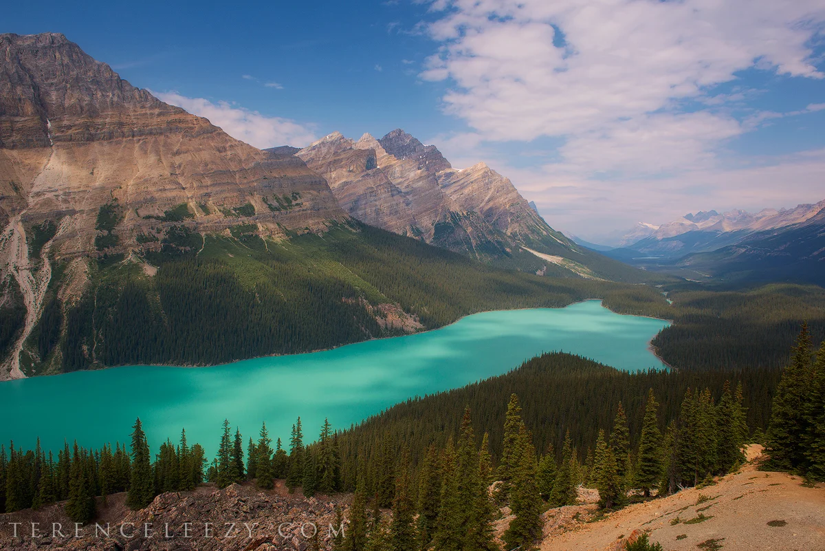 Peyto_TER2907.jpg