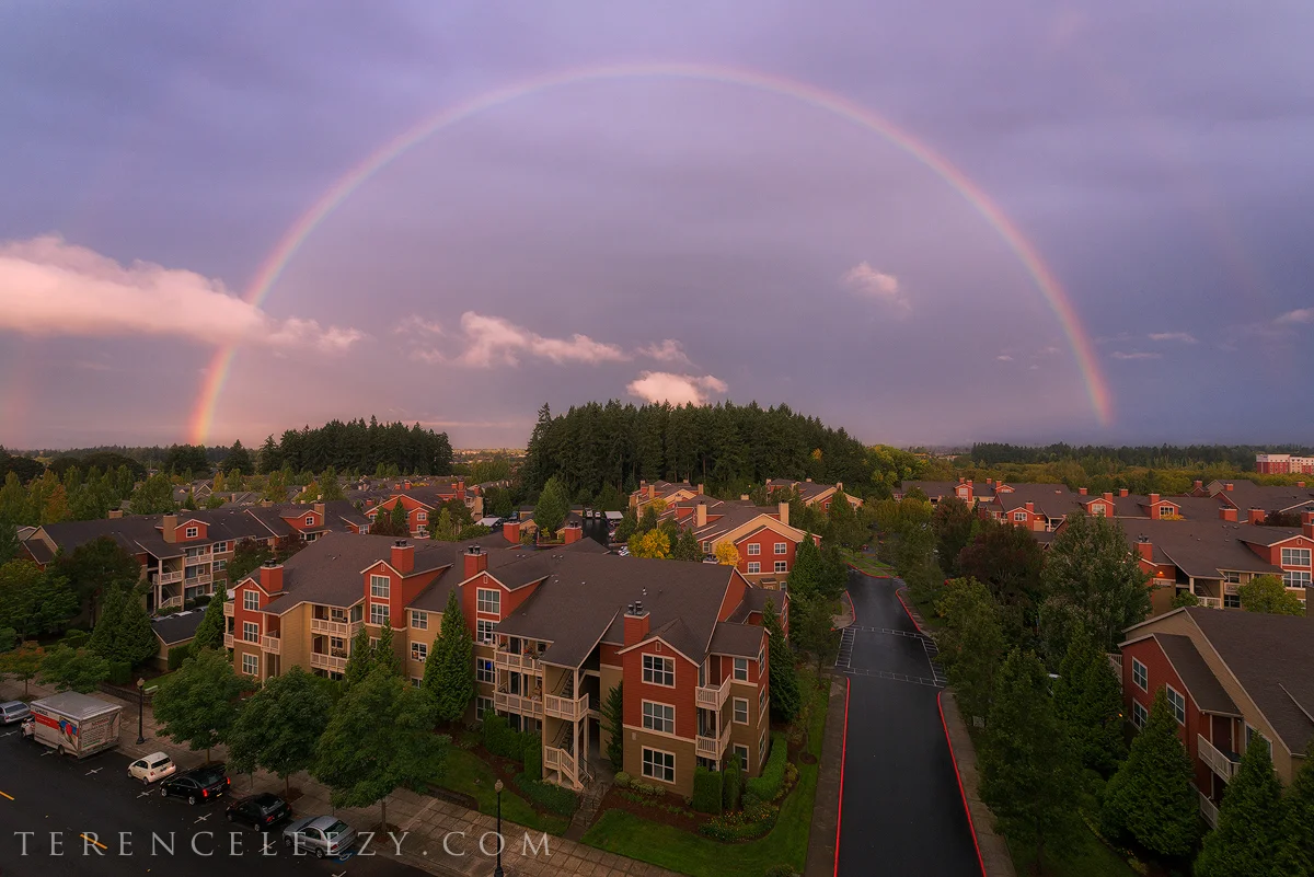 Rainbow_TER6986z.jpg