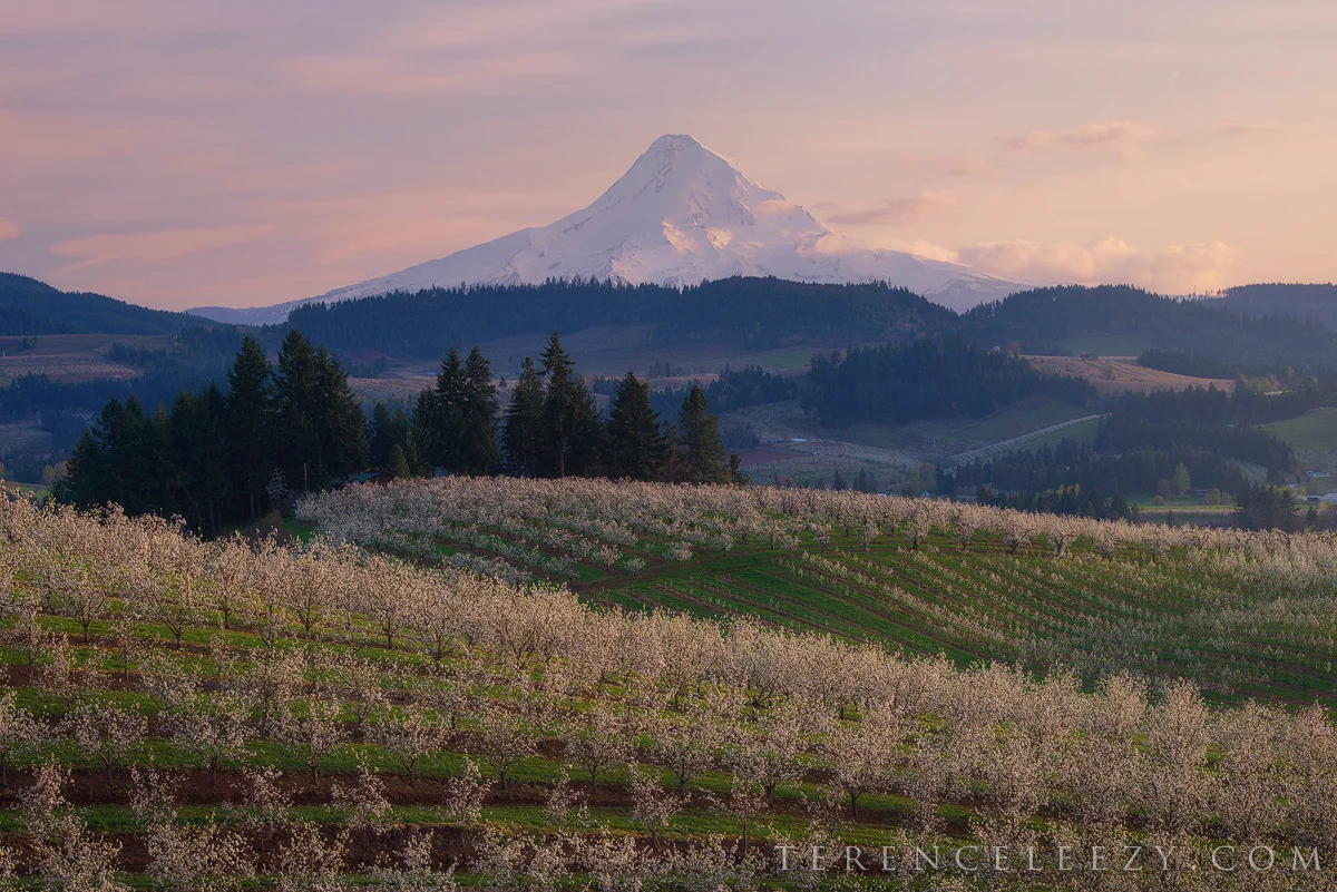April - Hood River, Oregon