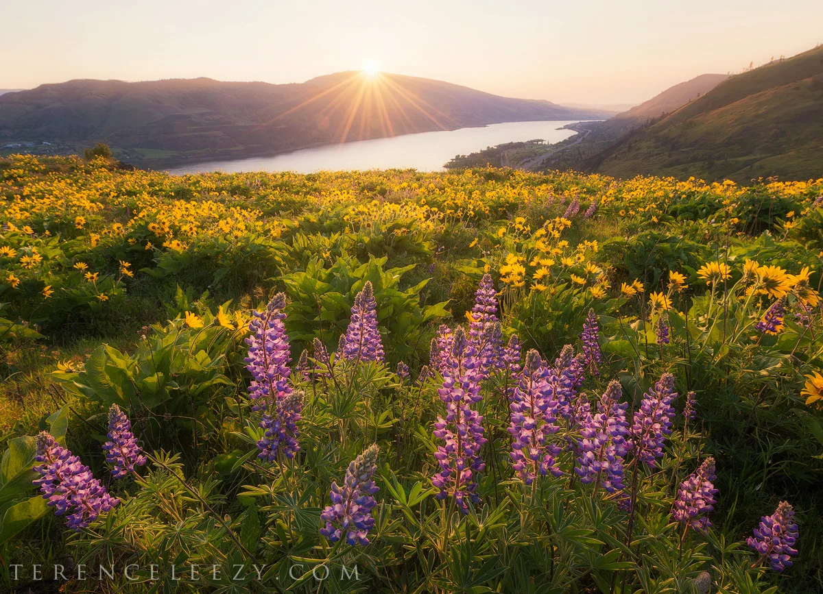 April - Rowena Crest, Oregon