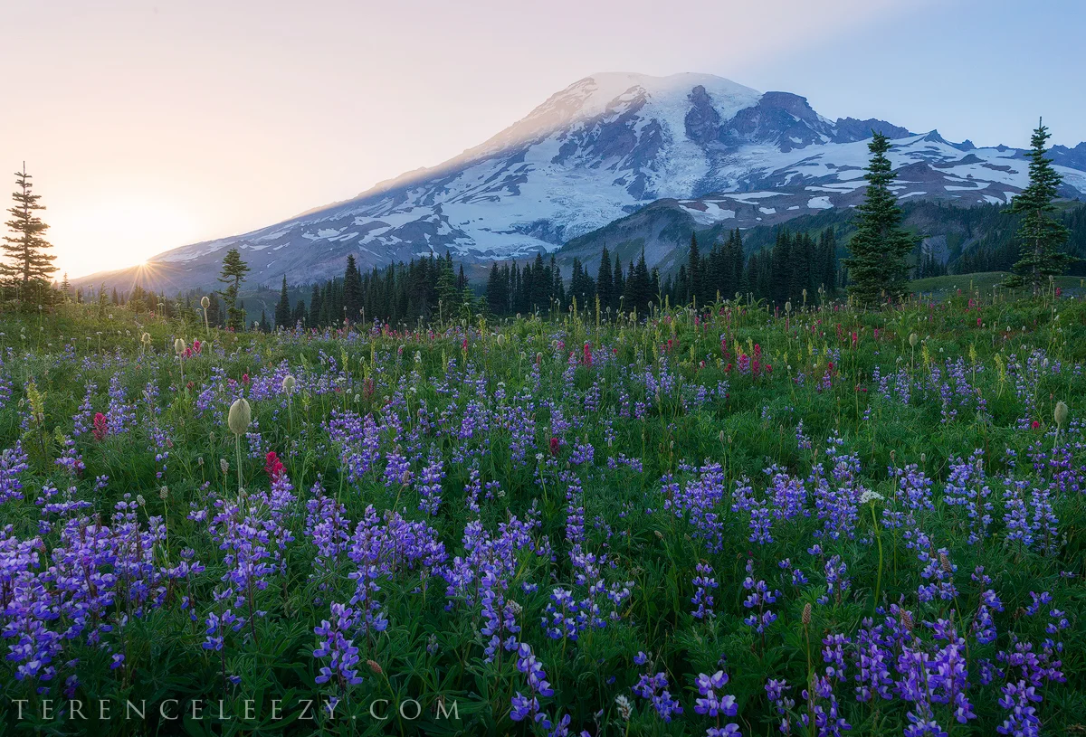 July - Mount Rainier, Washington.