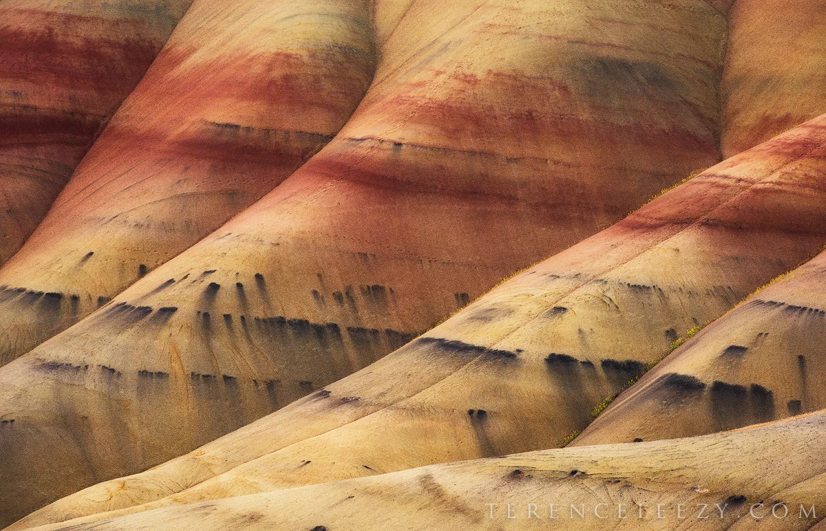 June - Painted Hills, Oregon