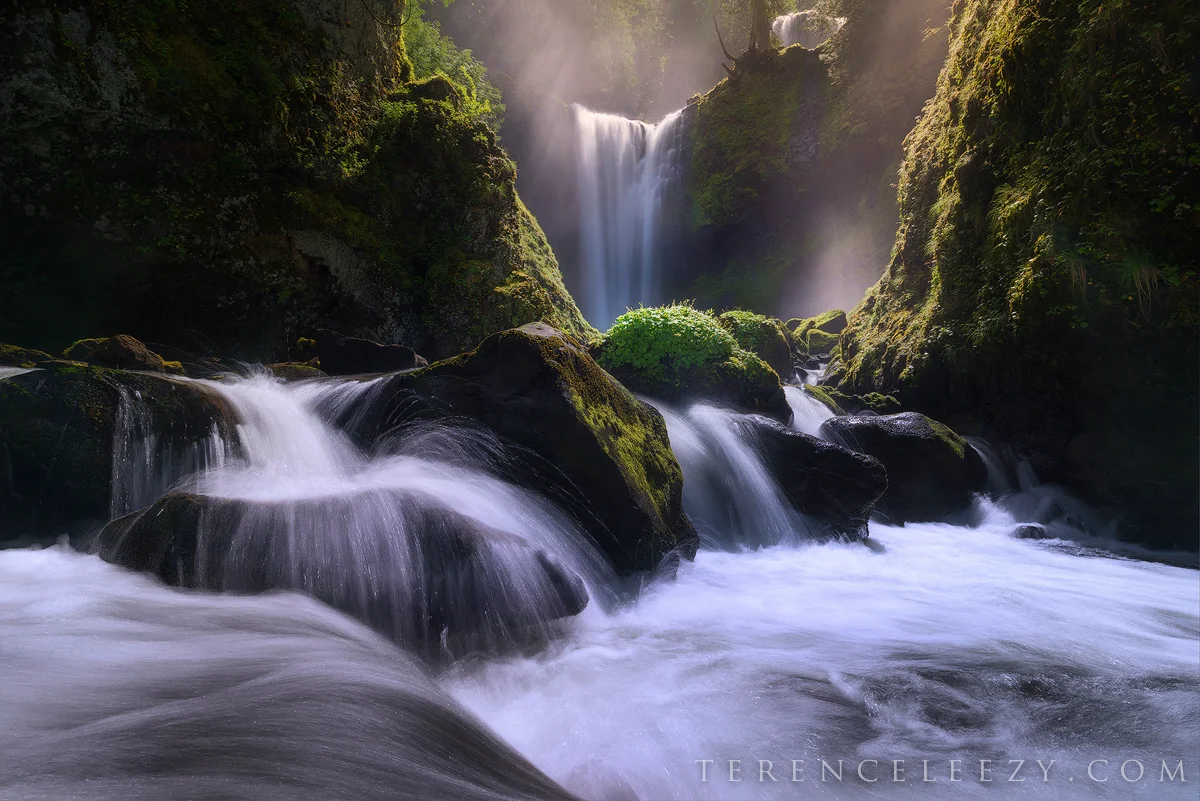 May - Falls Creek Falls, Oregon
