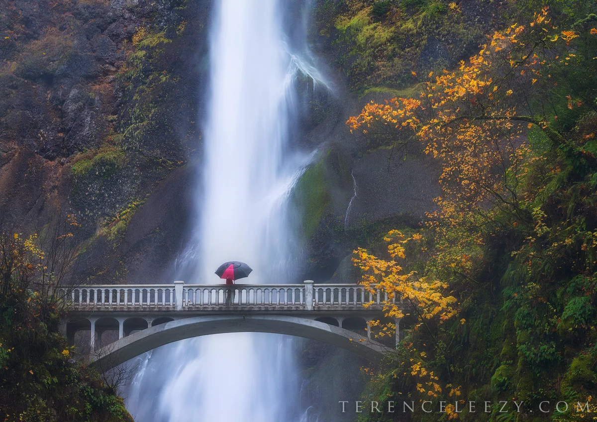 November - Multnomah Falls, Oregon