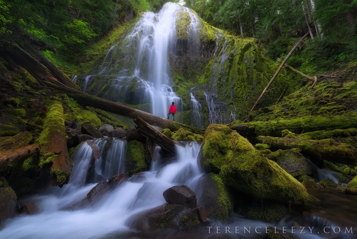 June - Proxy Falls, Oregon