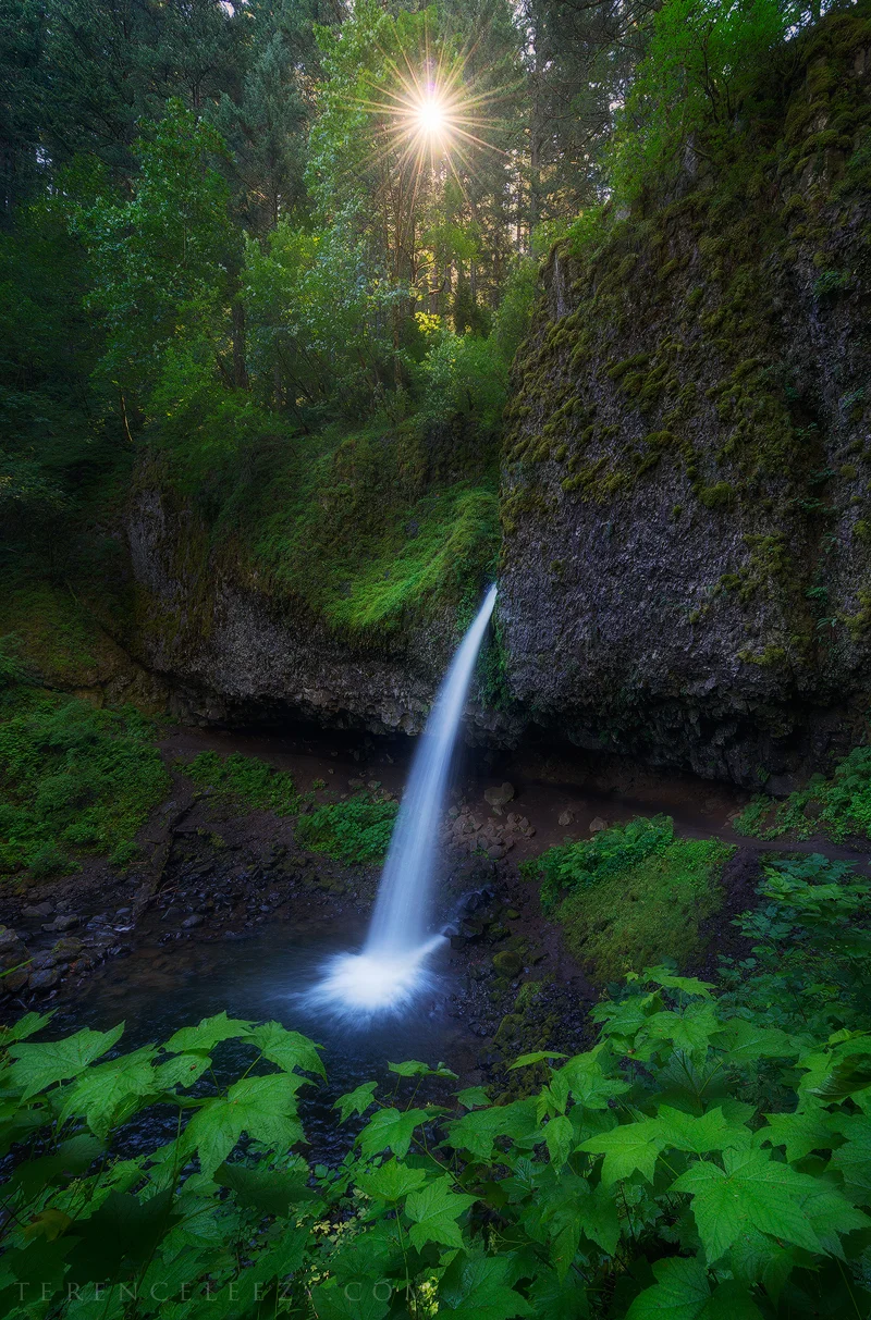 Ponytail Falls