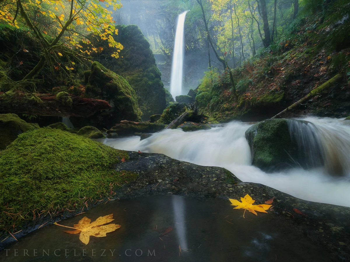 Elowah Falls