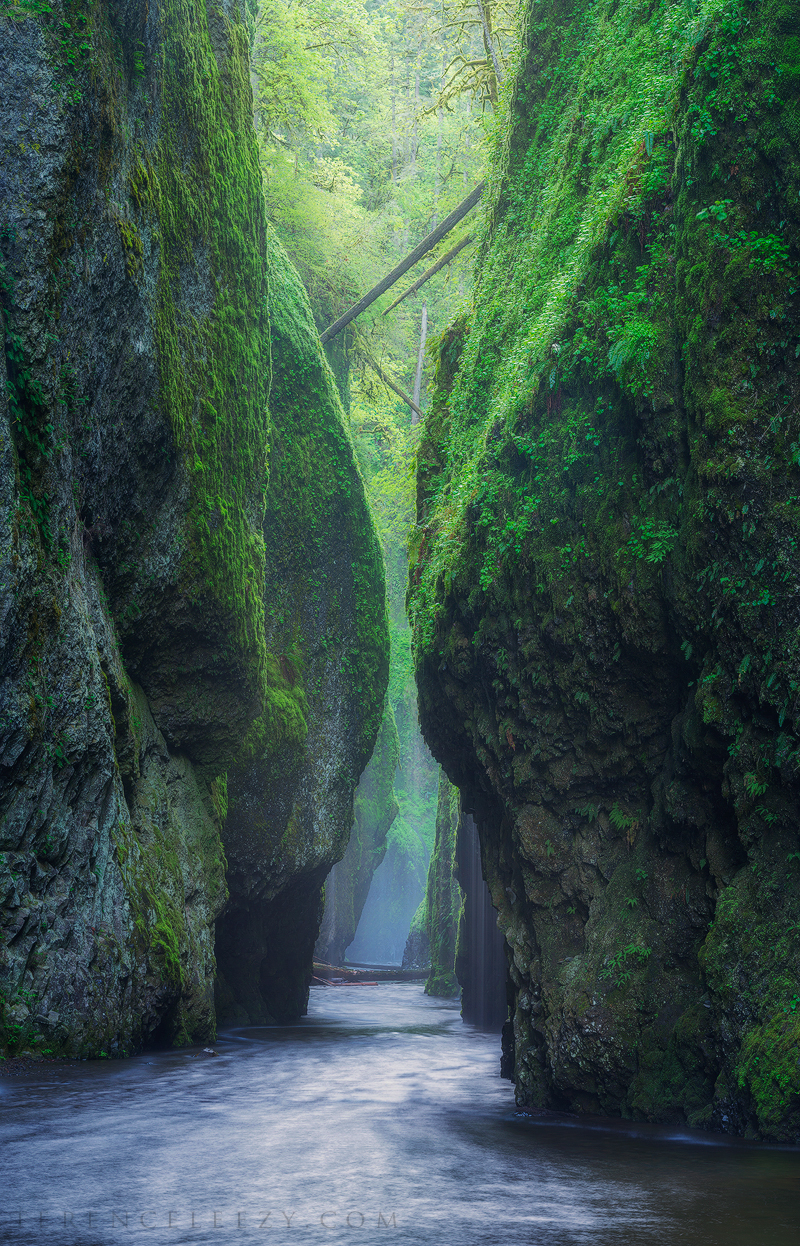 Oneonta Gorge