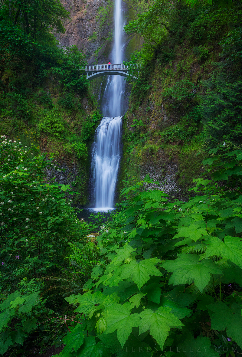 Multnomah Falls