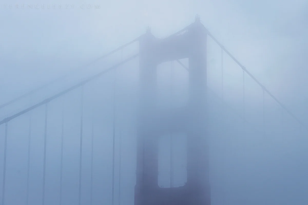 SF_TER7428.jpg