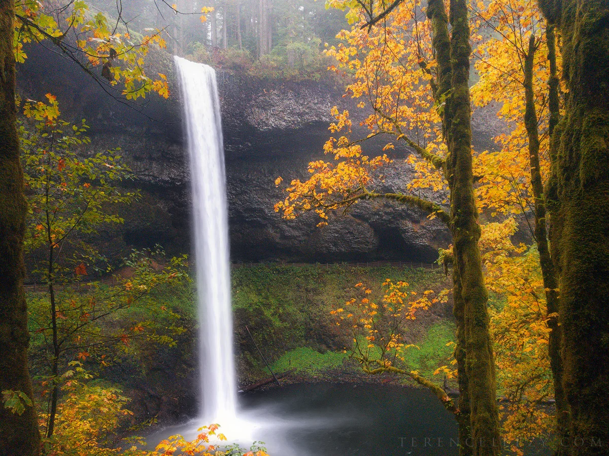 SilverFalls_IMG1901x.jpg