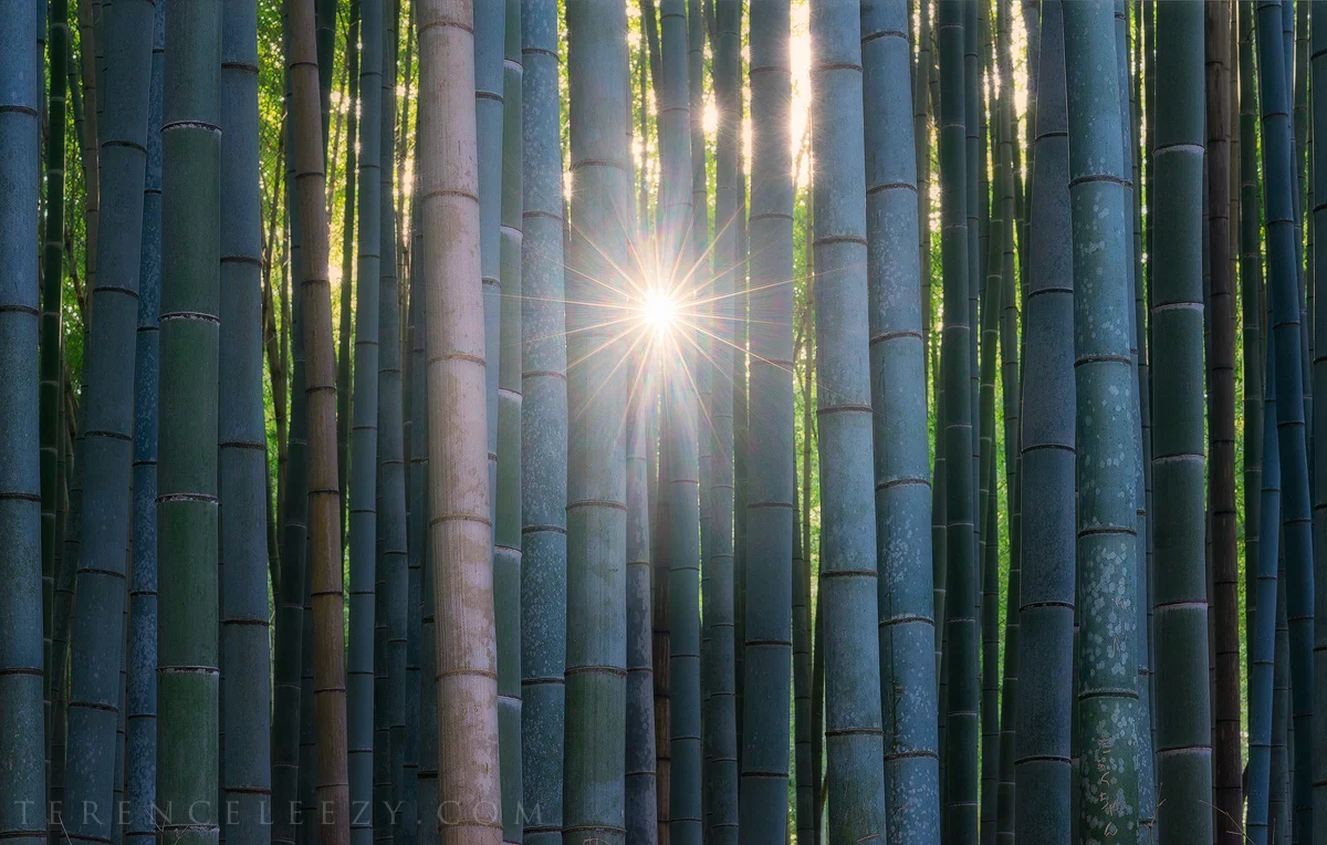 Kyoto, Japan