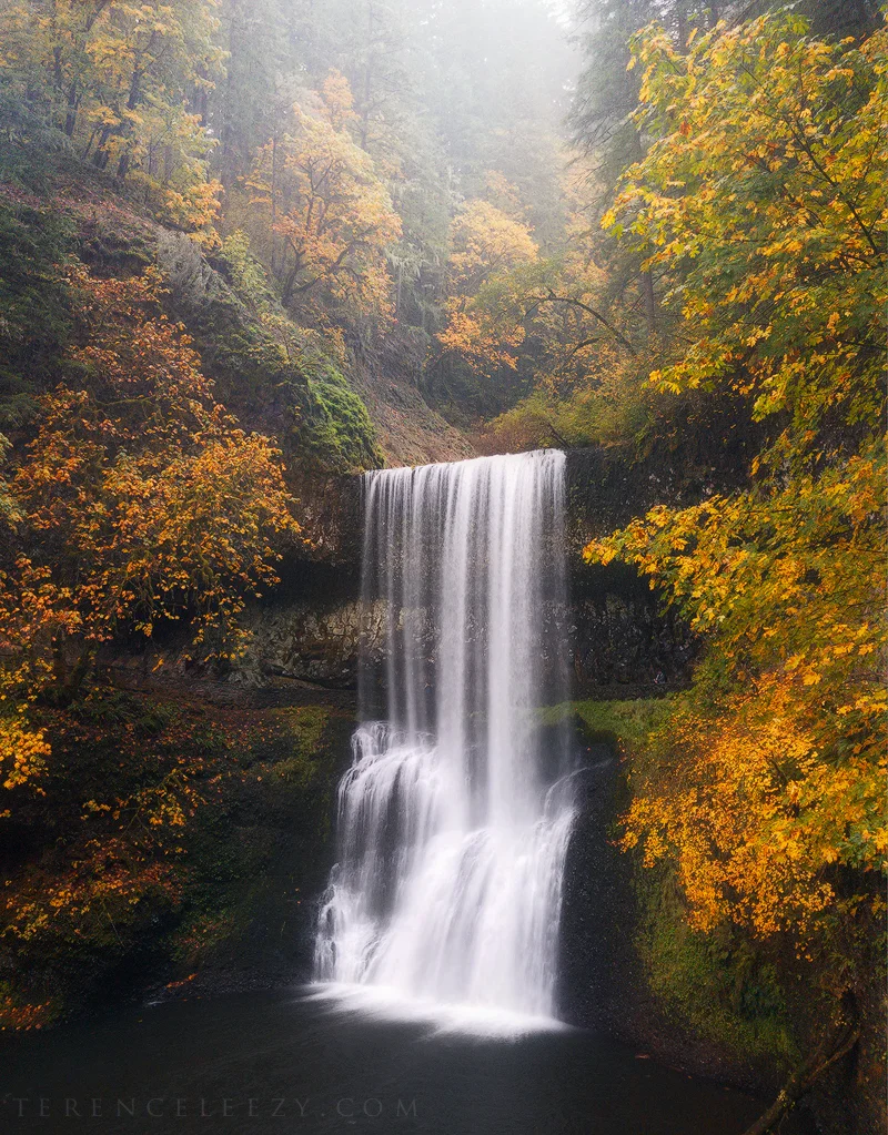 iPhone7 Plus - Silver Falls, Oregon