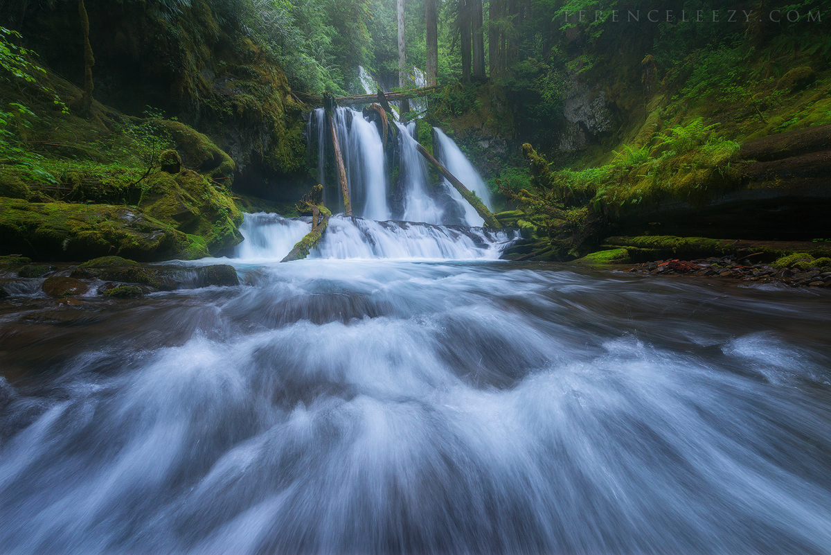 Panther Creek Falls, Washington