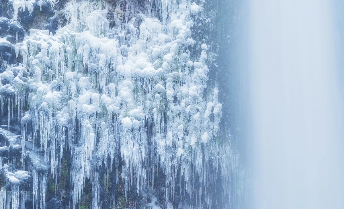 horsetail_TER3168.jpg