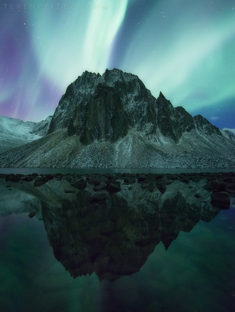 Yukon_TER5563x-2.jpg