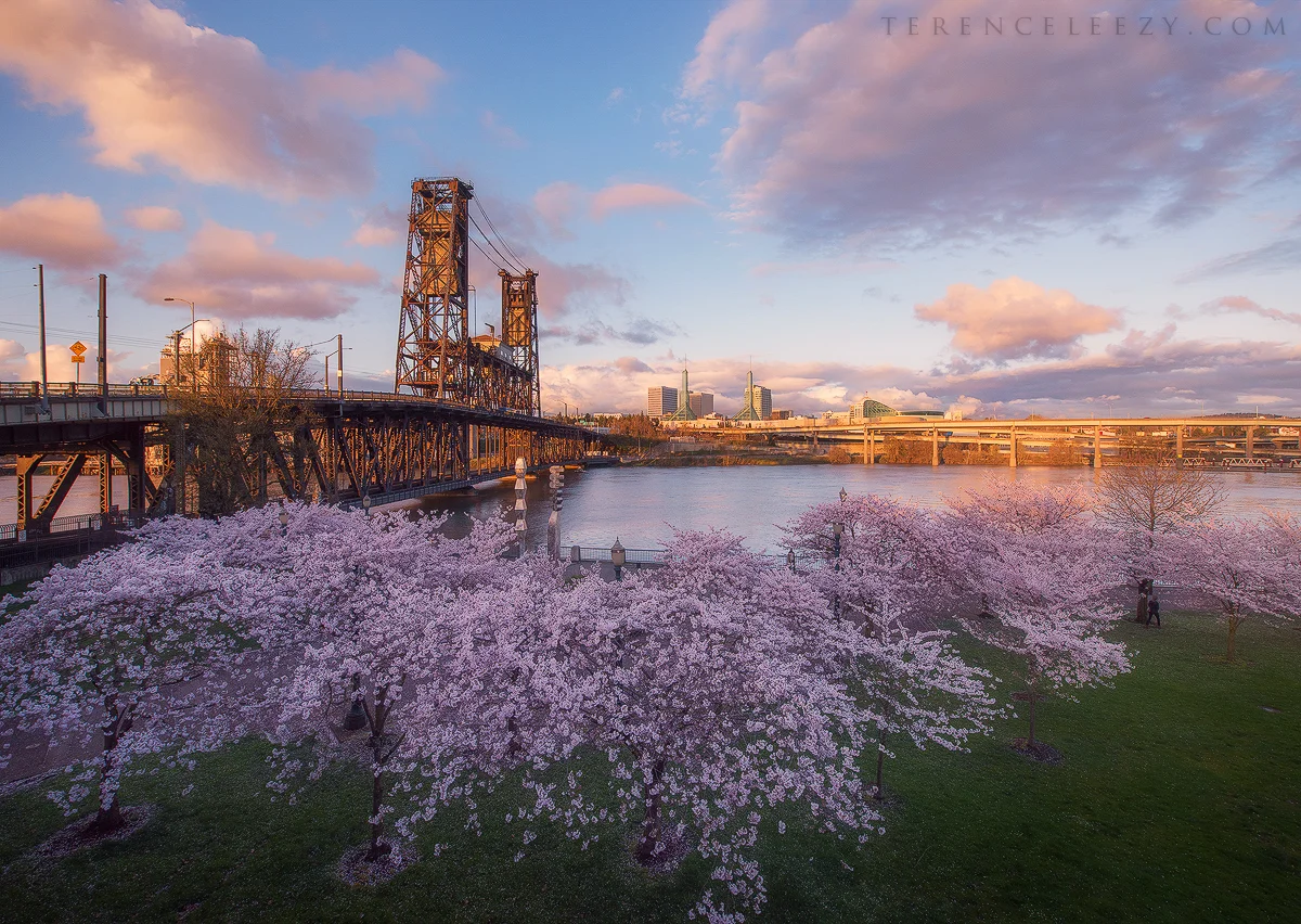 PDX_TER2924.jpg