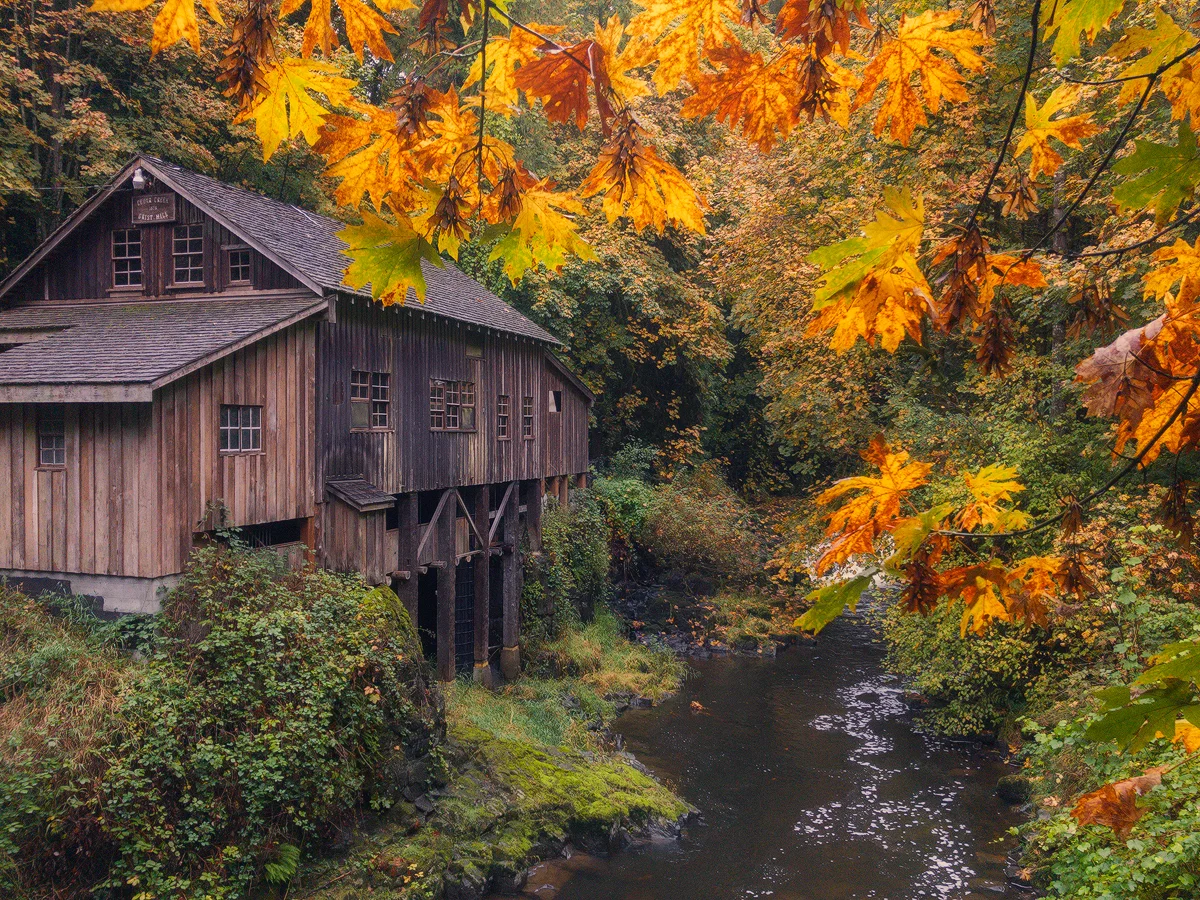 cedarcreek_img1787.jpg