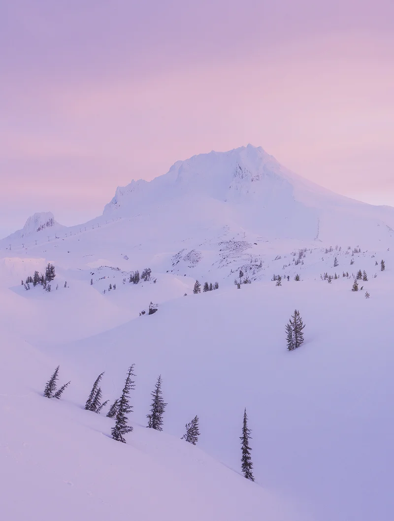 Oregon_TER4501xx.jpg