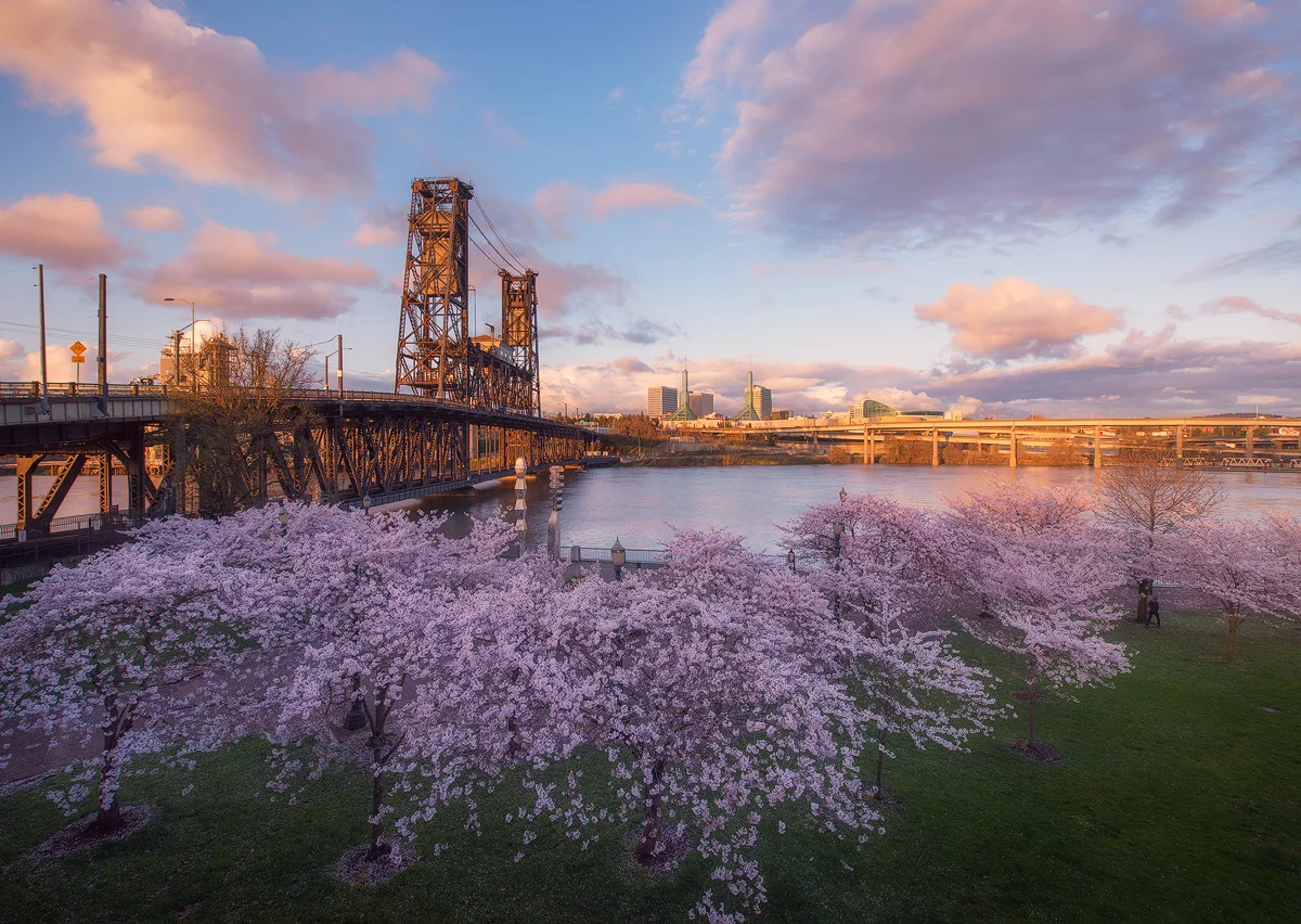 PDX_TER2924.jpg
