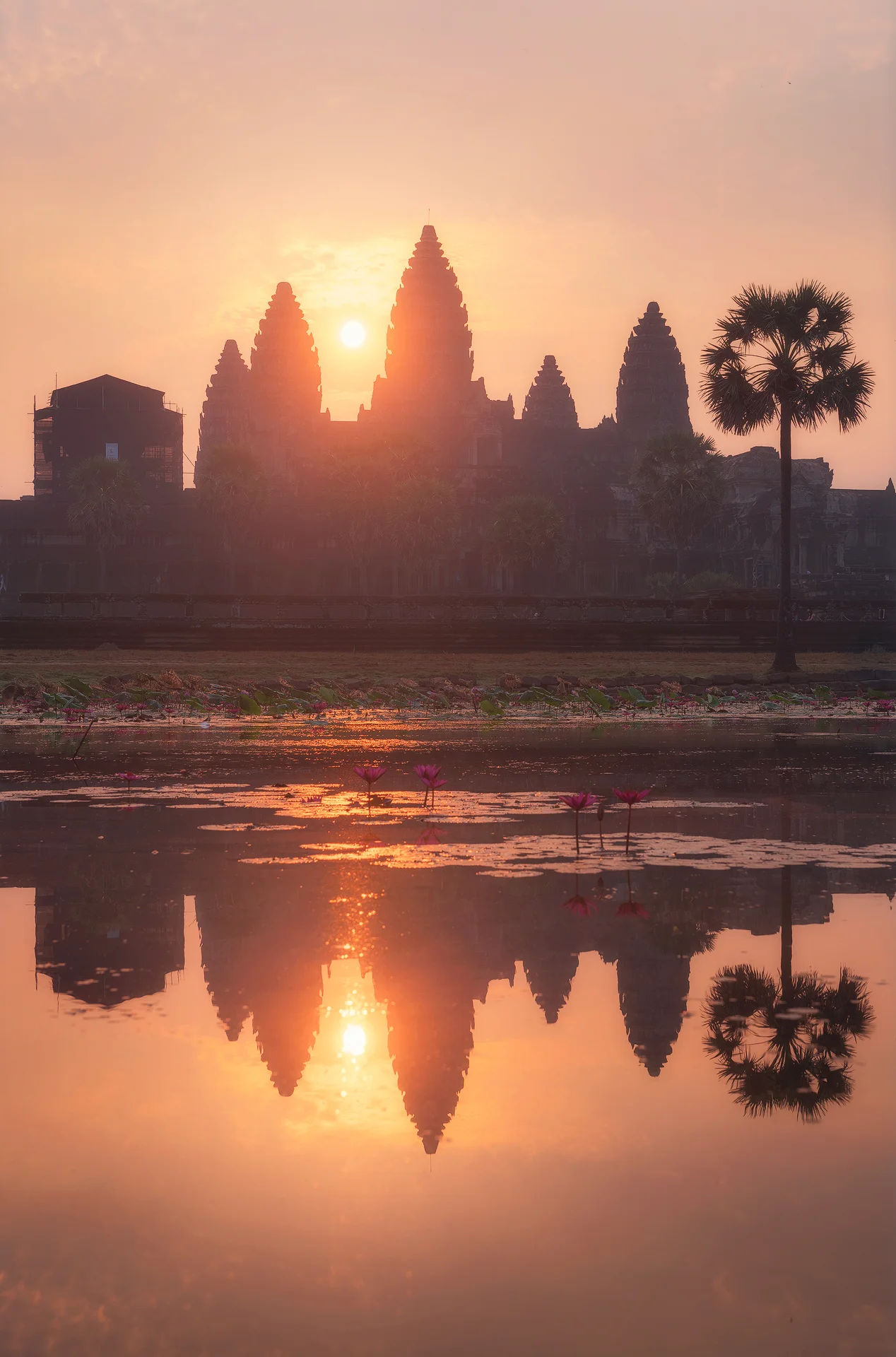 Angkor_TER1647.jpg