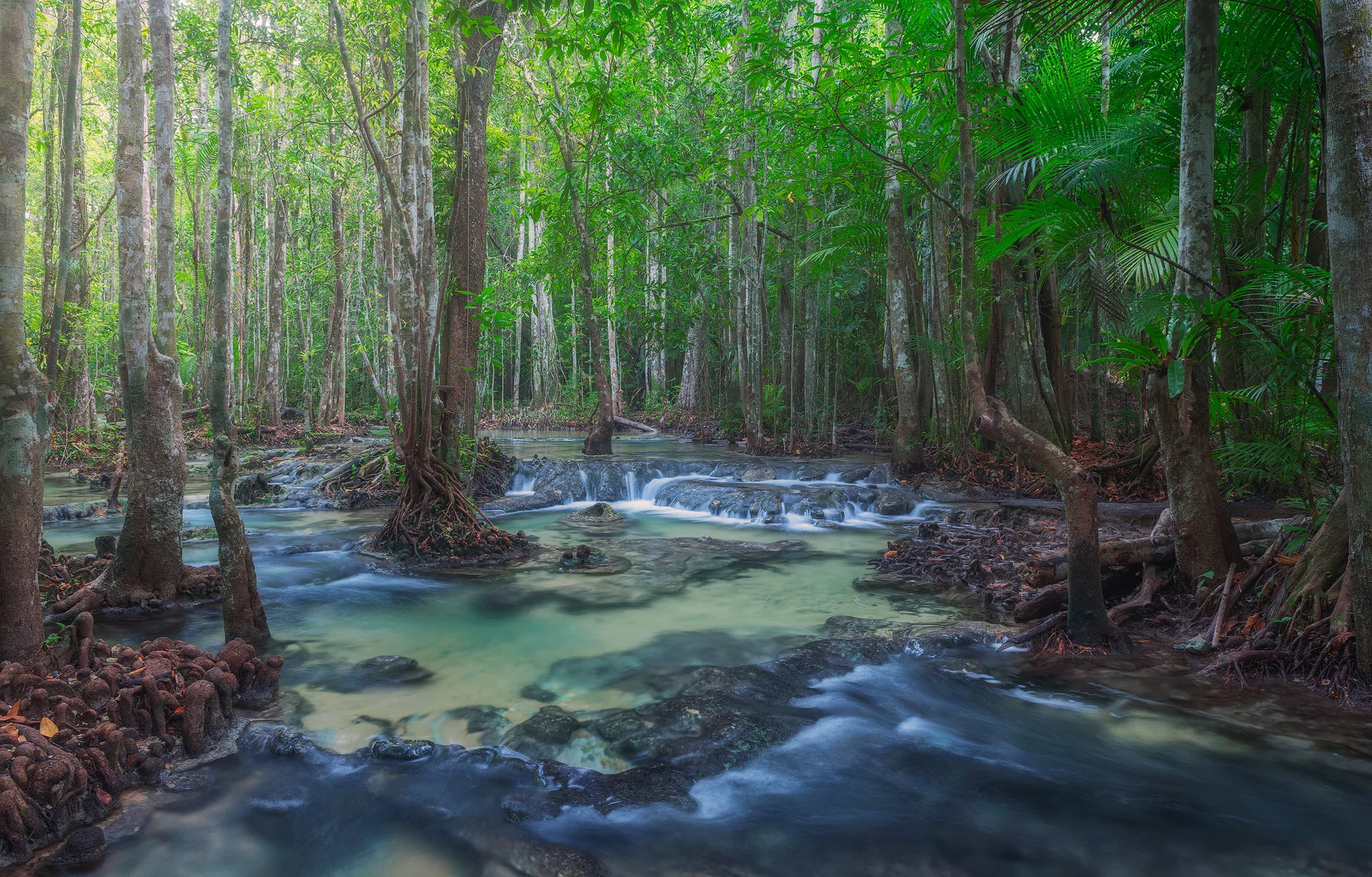 Krabi_TER5009.jpg
