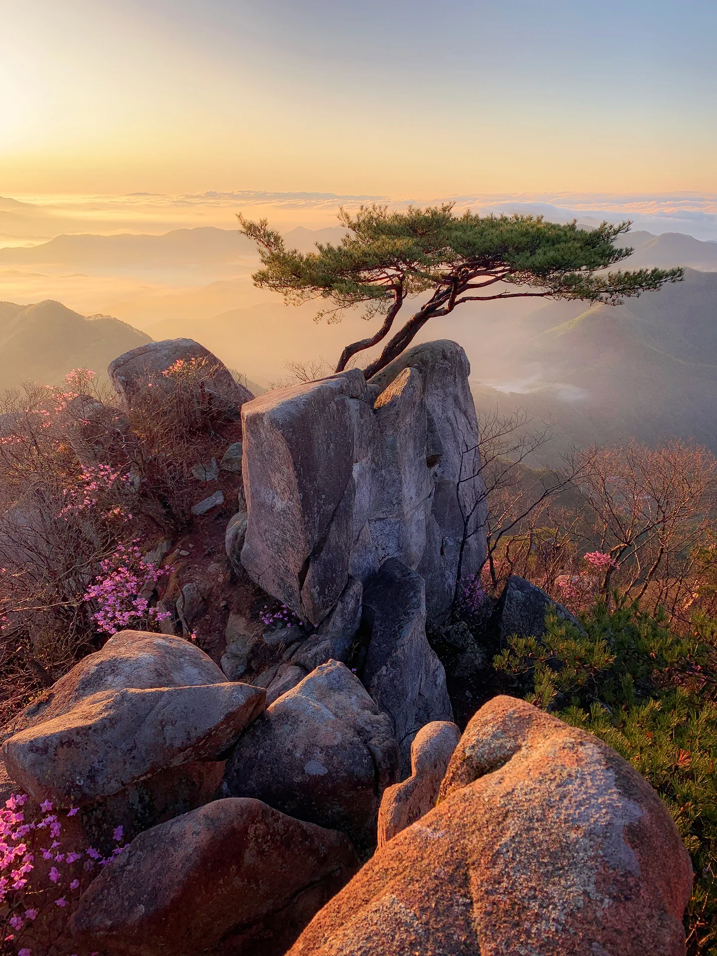 Korea_IMG_0870x.jpg