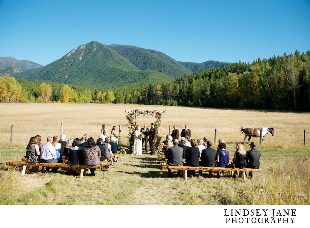 wedding070.jpg