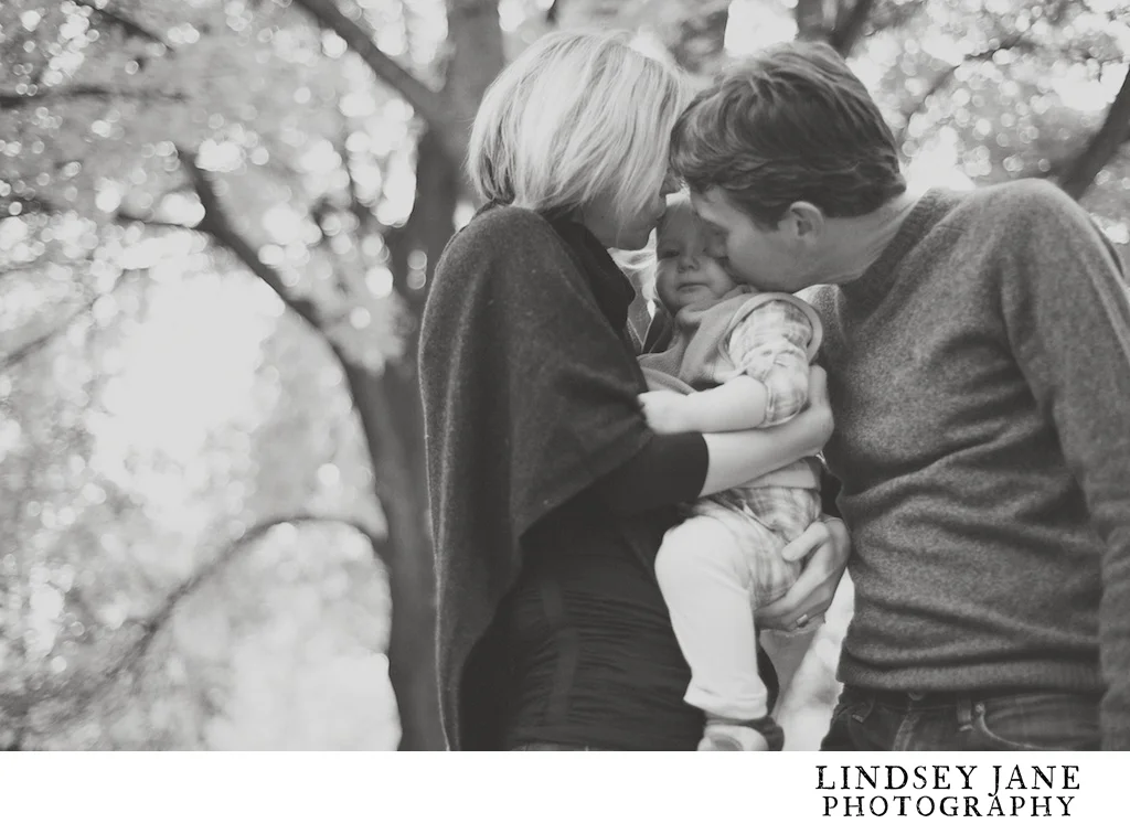 family011.jpg