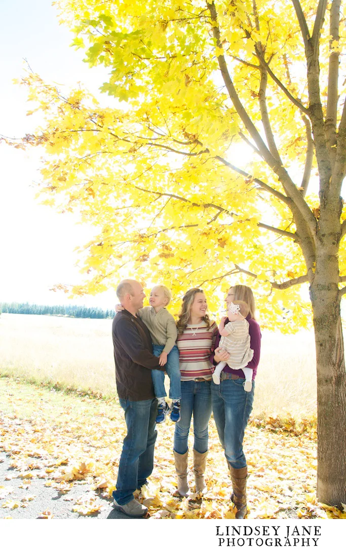 family010.jpg