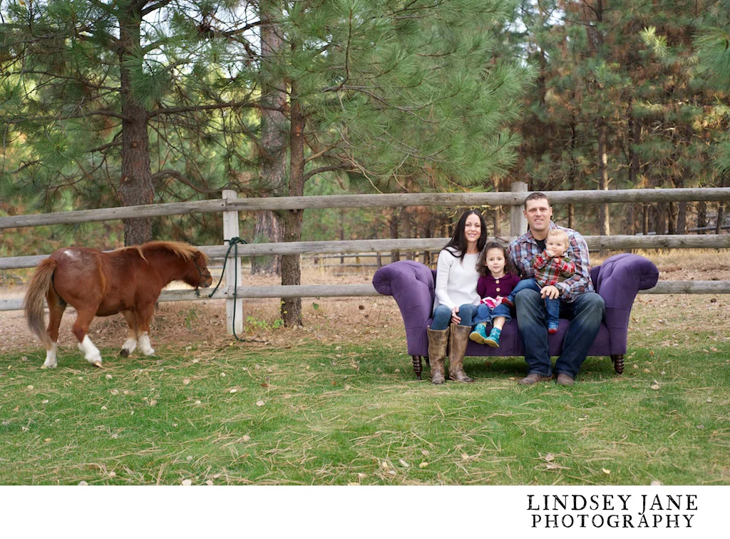 family021.jpg