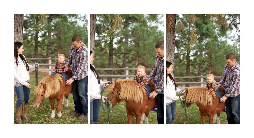 family029.jpg
