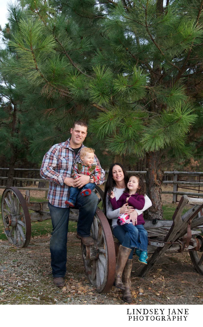 family031.jpg