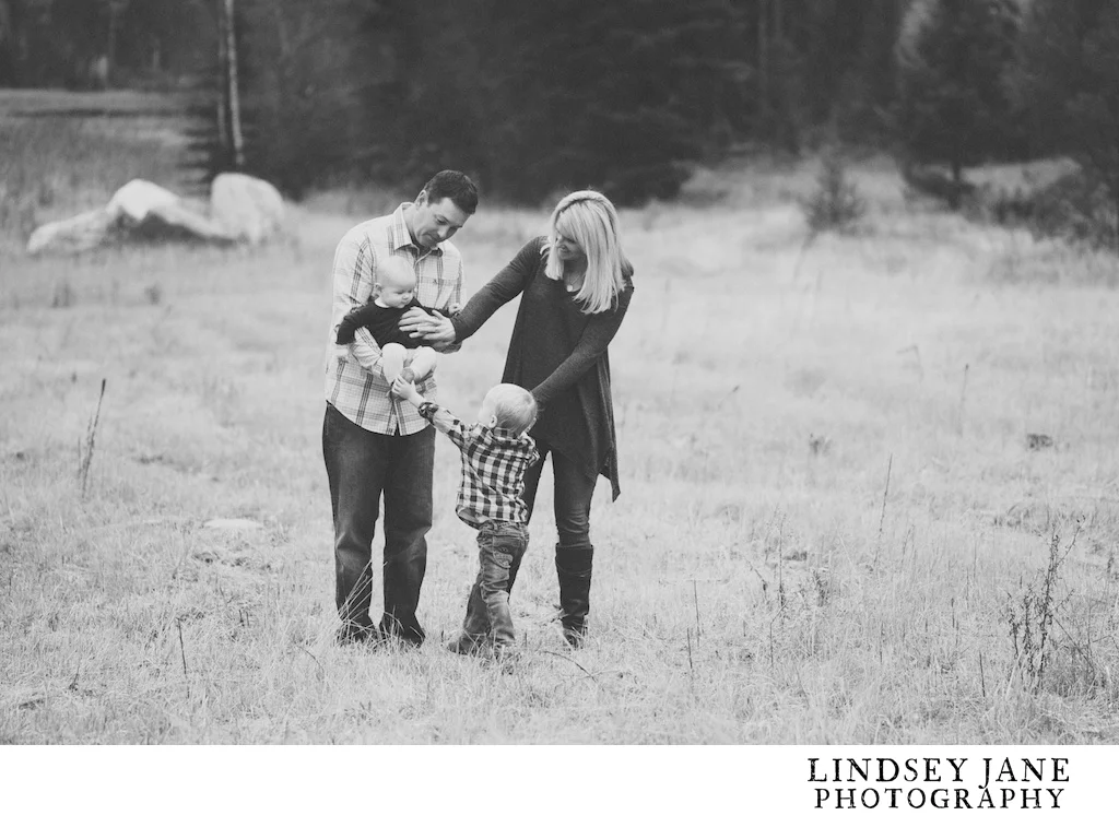 family008.jpg