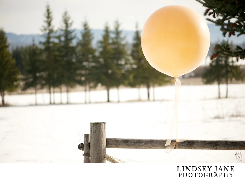 lindseyjanephotography008.jpg
