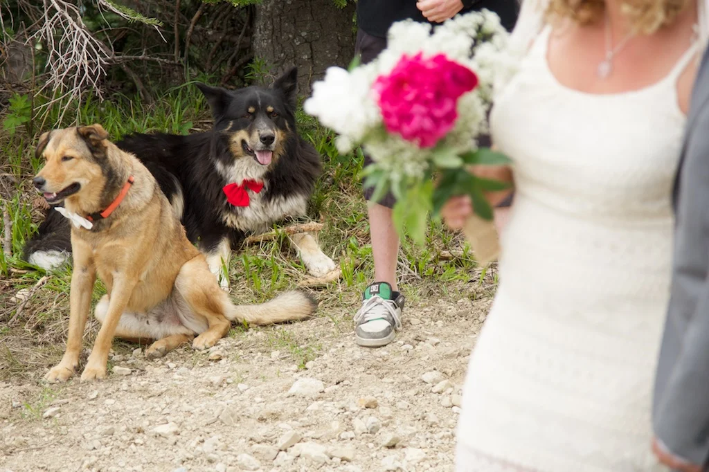 lindseyjanewed028.jpg