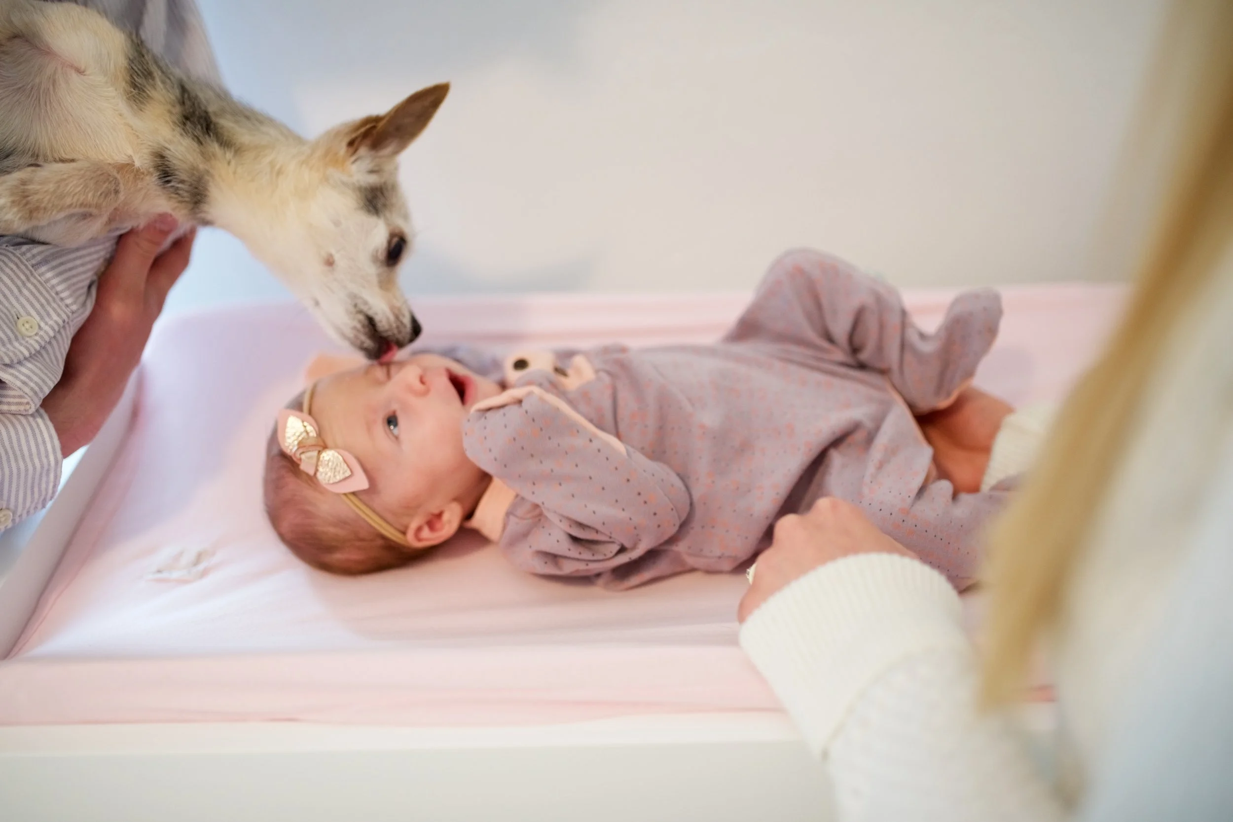 lindseyjane_lifestyle022.jpg