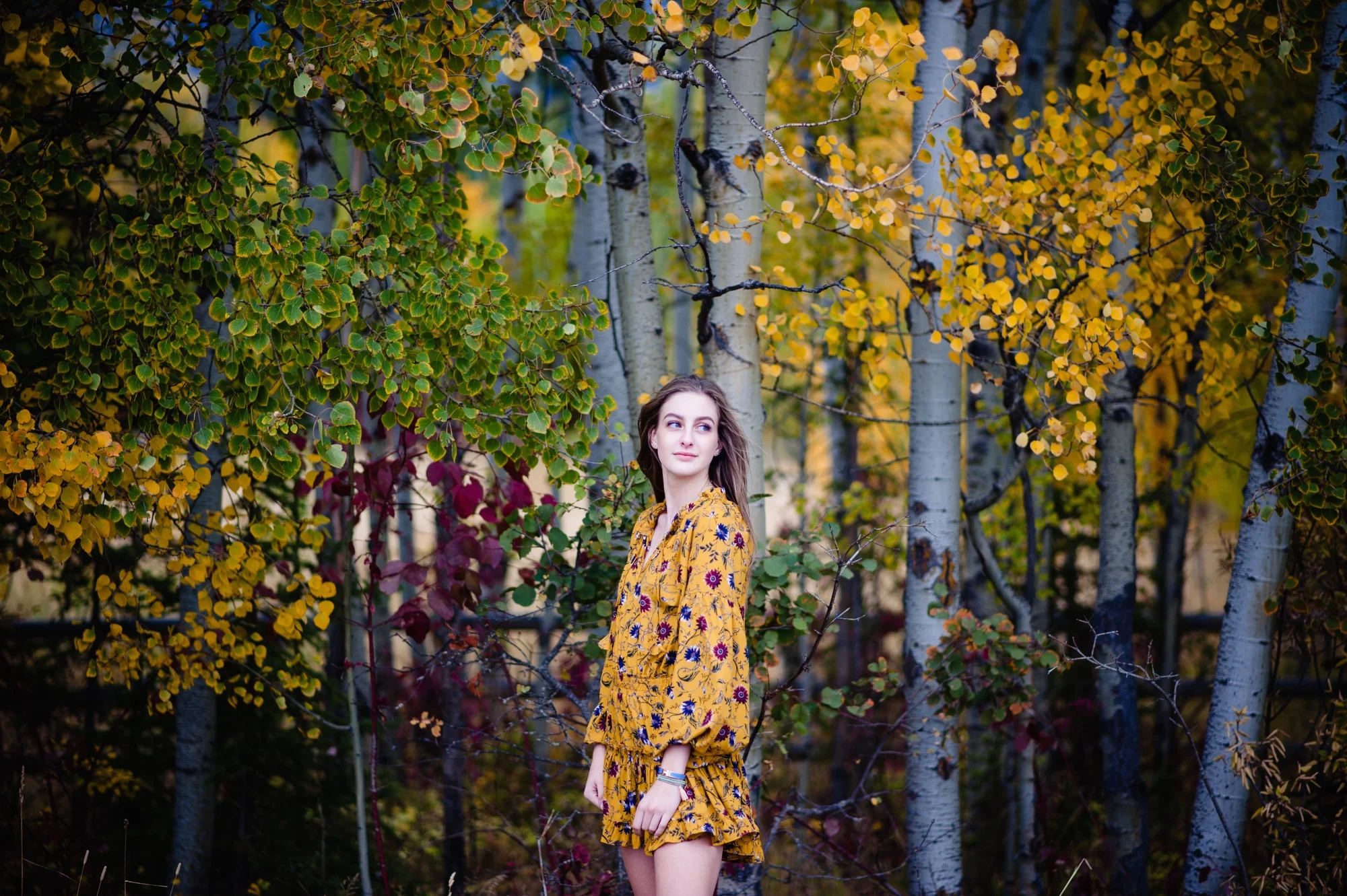 lindseyjane_senior032.jpg