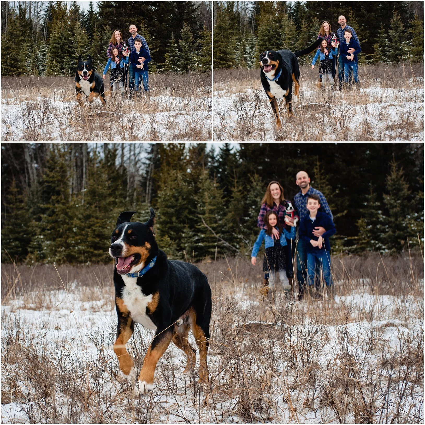 lindseyjanephotography_family031.jpg
