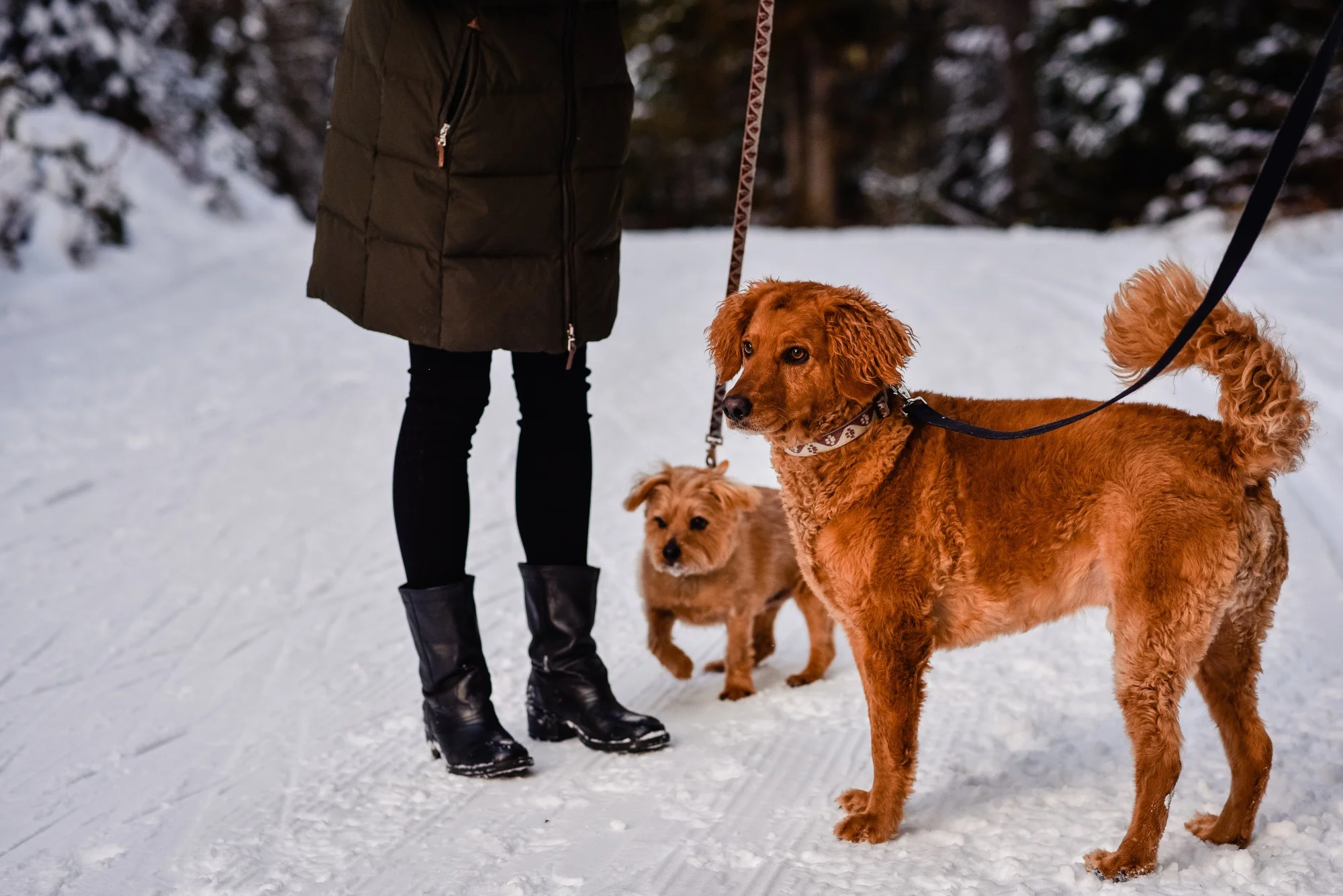 lindseyjanephotography_family009.jpg