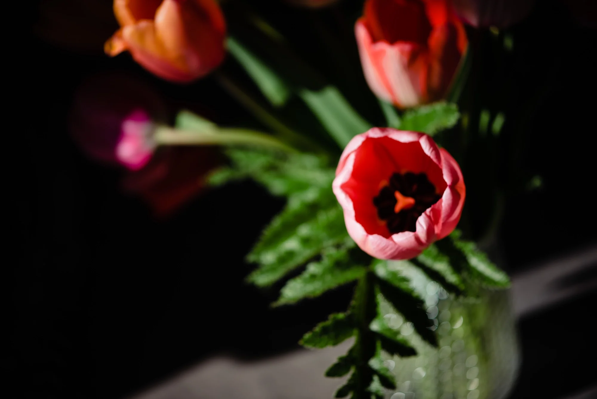 lindseyjanephotography_art001.jpg