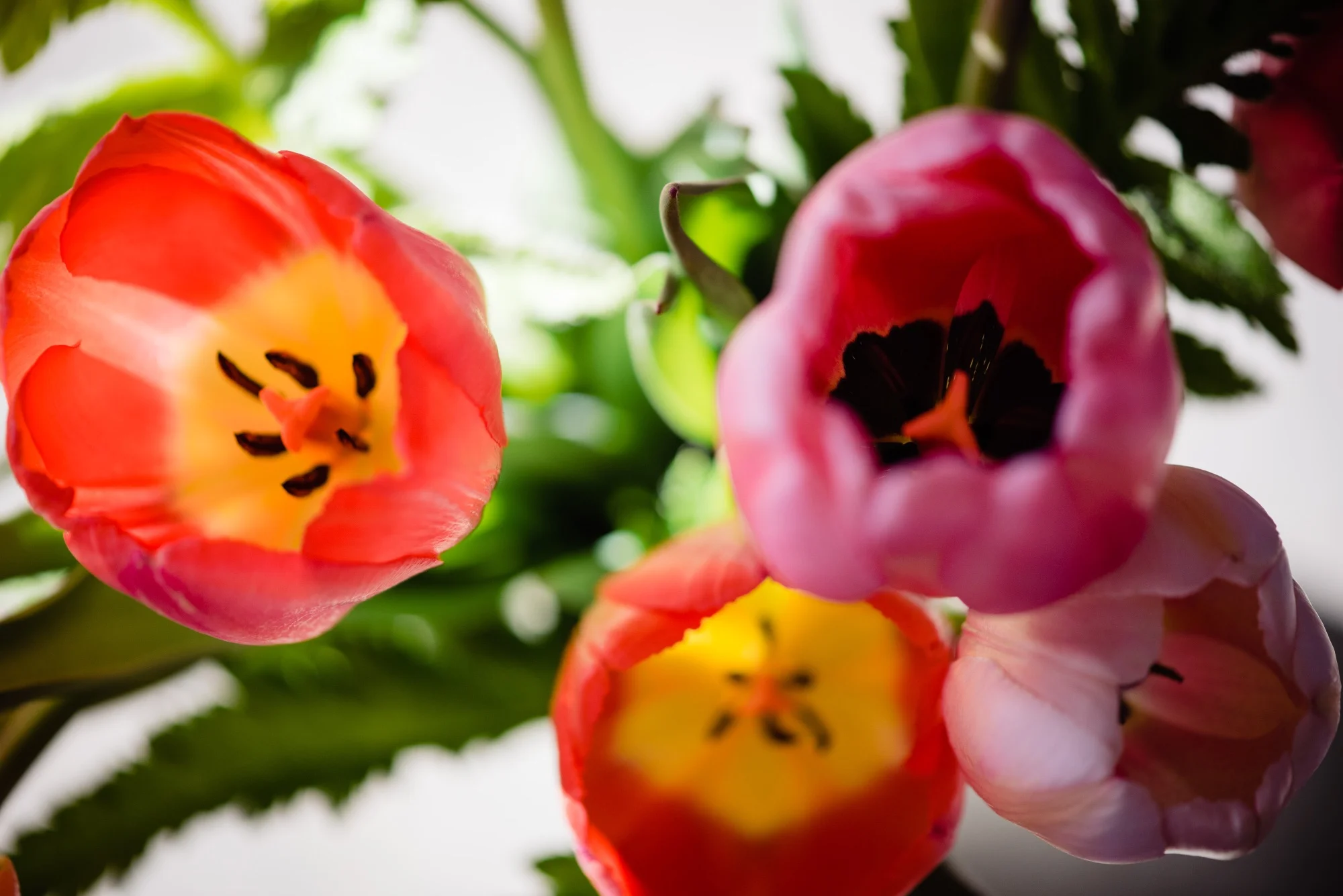lindseyjanephotography_art002.jpg