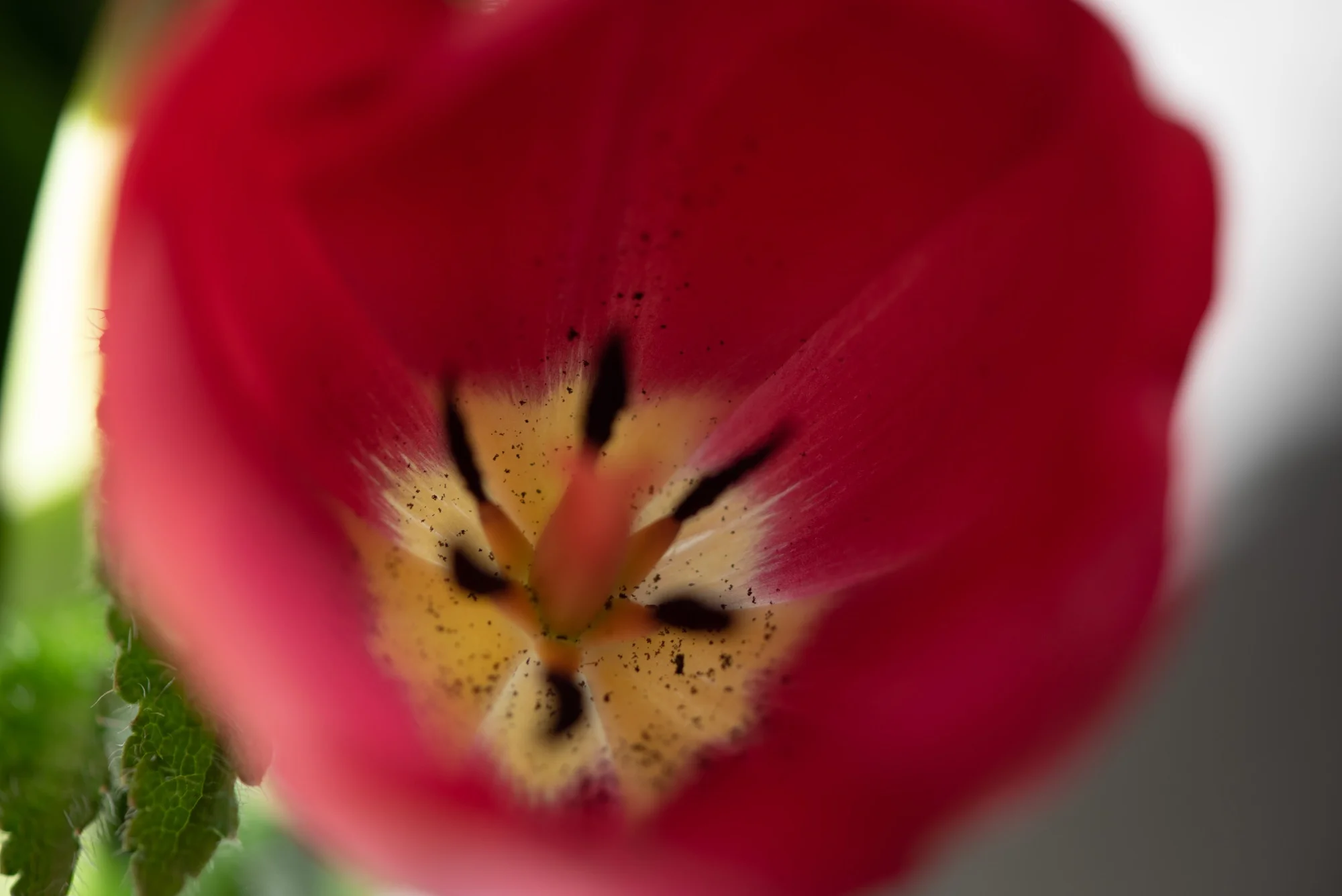 lindseyjanephotography_art006.jpg