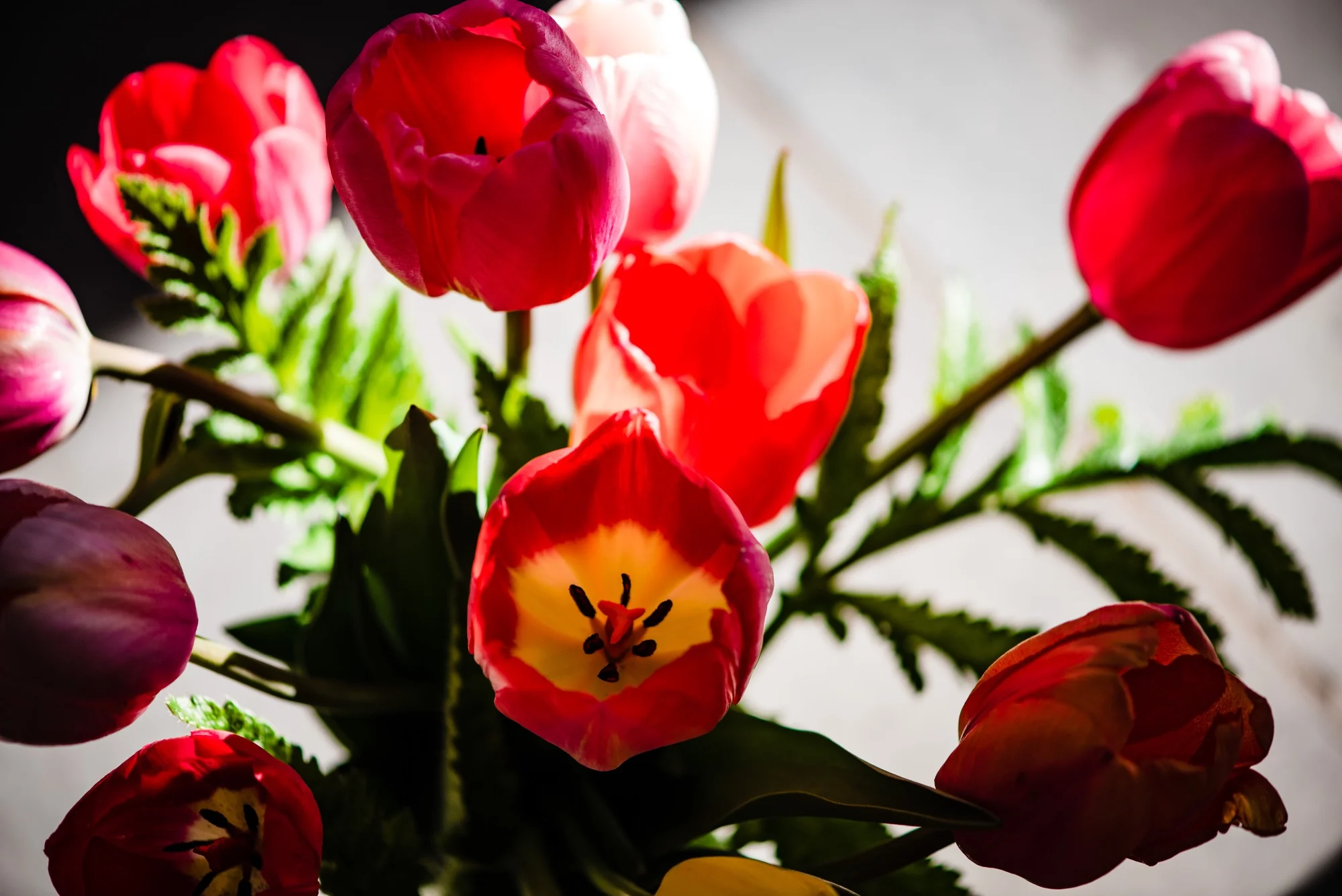 lindseyjanephotography_art007.jpg