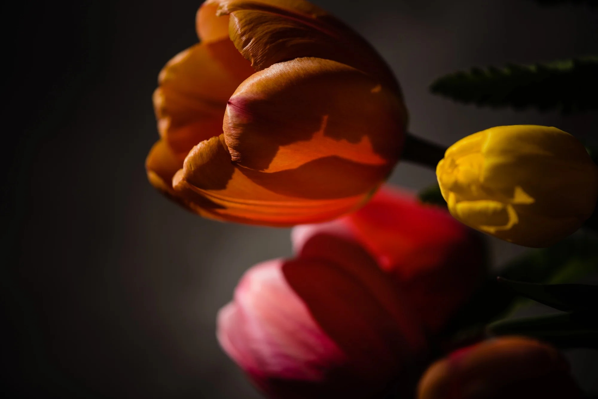 lindseyjanephotography_art011.jpg